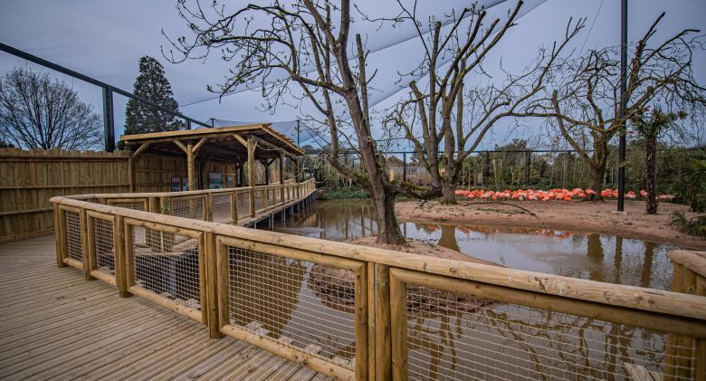 The-new-Latin-American-Wetlands-Aviary-at-Chester-Zoo-is-home-to-an-array-of-brightly-coloured-bird-species-from-Latin-America
